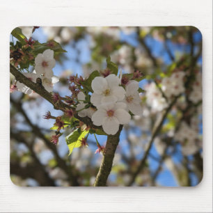 Spring Flower Mouse Mat