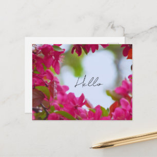 Spring Flower Photography Postcard