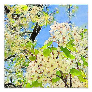 Spring Flowering Tree Watercolor Photo Enlargement Print
