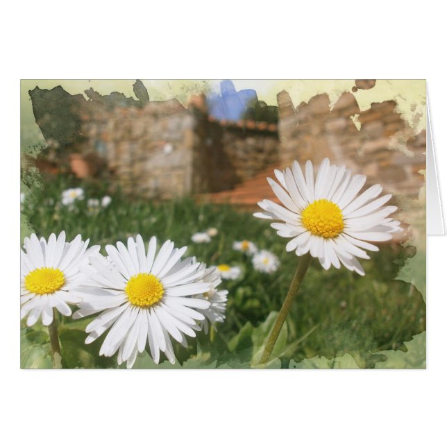 Spring flowers. (Front Horizontal)