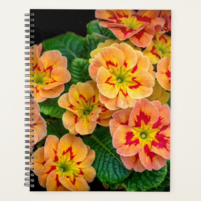 Spring Flowers 2024 Planner (Front)