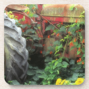 Spring flowers adorn an old tractor. coaster
