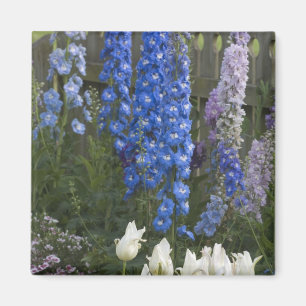 Spring flowers along a garden path, Georgia 2 Magnet