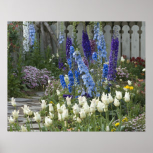 Spring flowers along a garden path, Georgia Poster