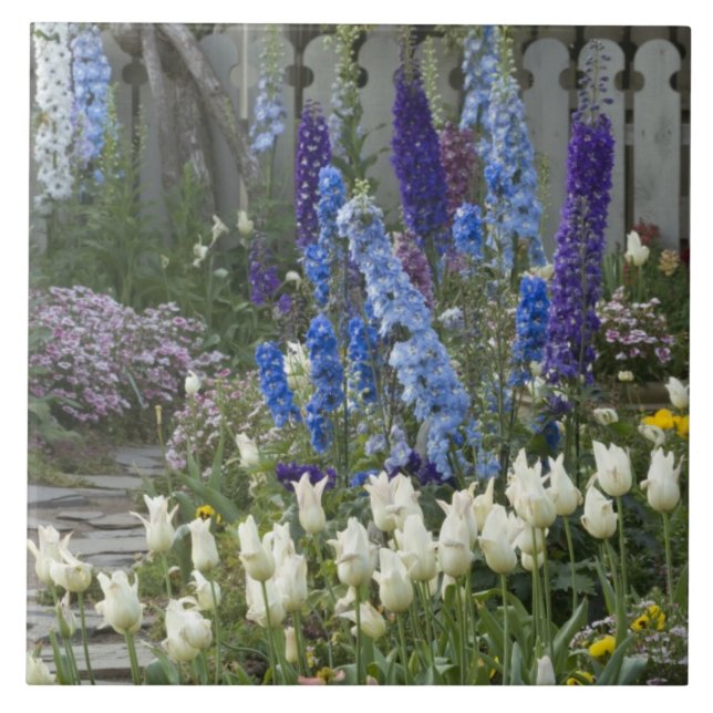 Spring flowers along a garden path, Georgia Tile (Front)