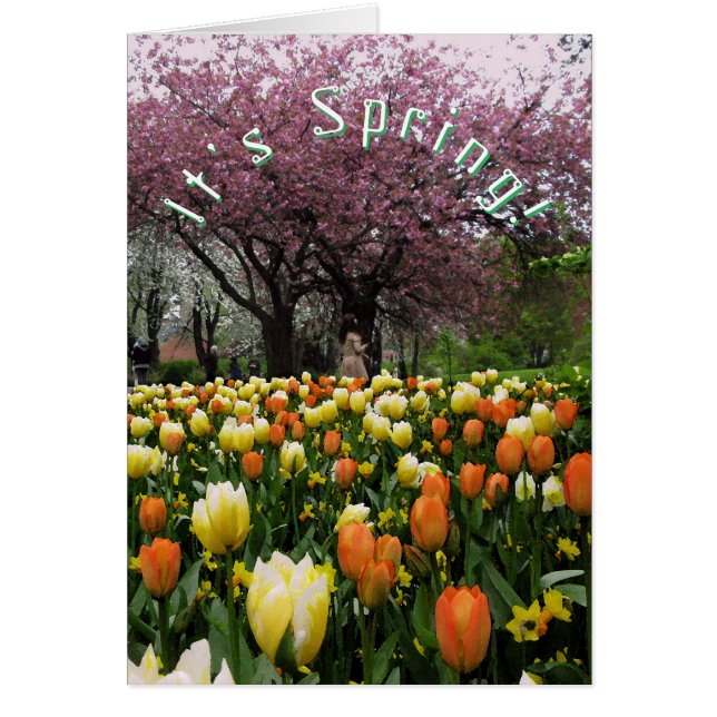 Spring Flowers and Blossom Cherry Tree Custom Text (Front)