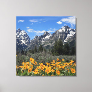 Spring Flowers at Grand Teton National Park Canvas Print