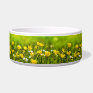 Spring Flowers Background