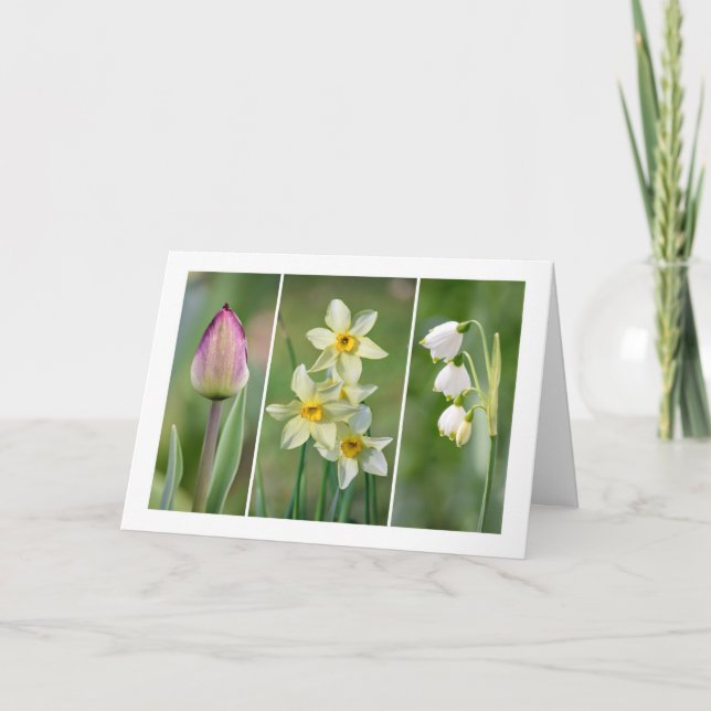 'Spring Flowers' blank greeting card (Front)