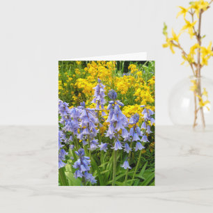 Spring flowers bluebells and wallflowers photo card