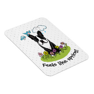 Spring Flowers Boston Terrier Dog (black) Cute Magnet