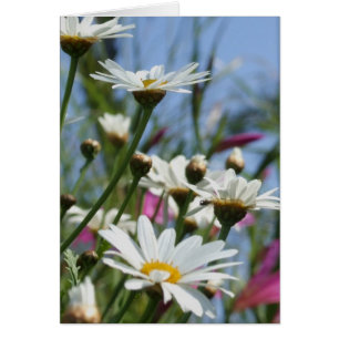 Spring Flowers Card