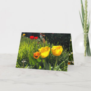 Spring flowers card tulips easter yellow orange