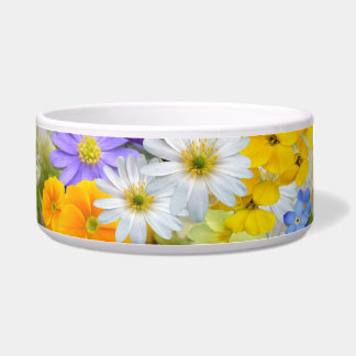 spring flowers cat food bowl