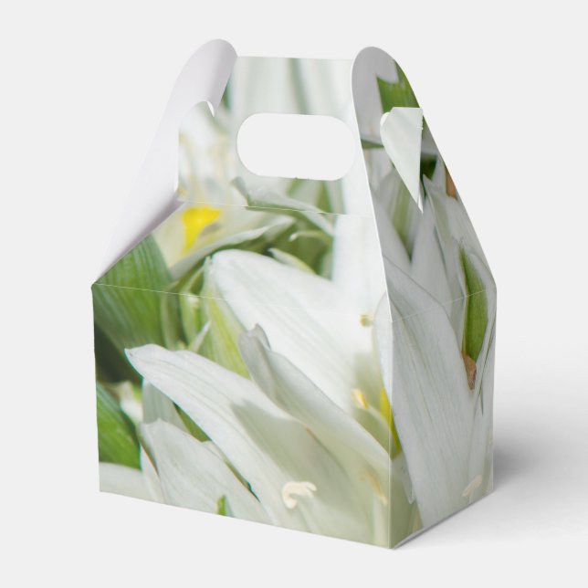 Spring flowers favour box (Back Side)