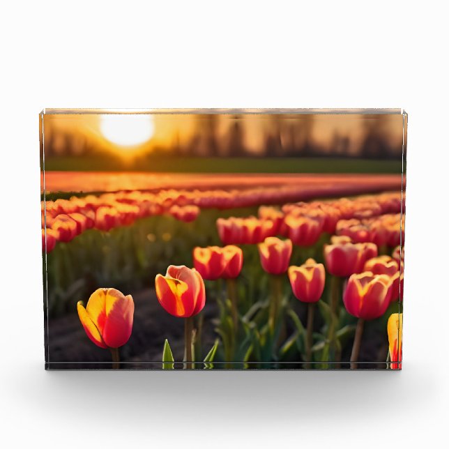 Spring flowers for Valentines day Photo Block (Front)