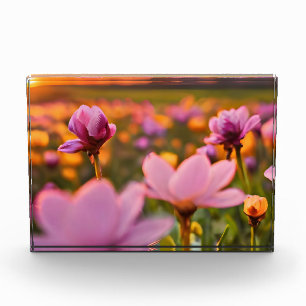 Spring flowers for Valentines day Photo Block