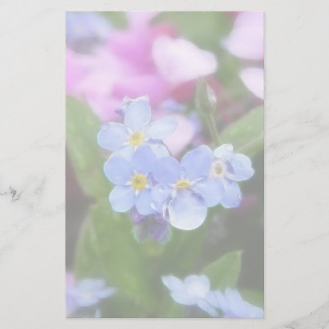 Spring Flowers - Forget Me Nots And Redbuds (Front)