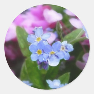 Spring Flowers - Forget Me Nots And Redbuds Classic Round Sticker
