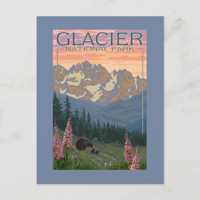 Spring Flowers - Glacier National Park, MT Postcard (Front)