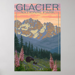 Spring Flowers - Glacier National Park, MT Poster