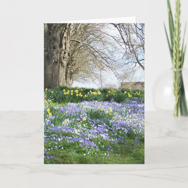 Spring Flowers Greetings Card (Front)