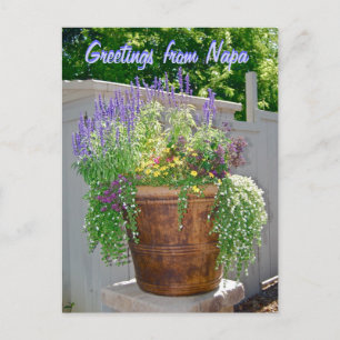 Spring Flowers Greetings from Napa Postcard