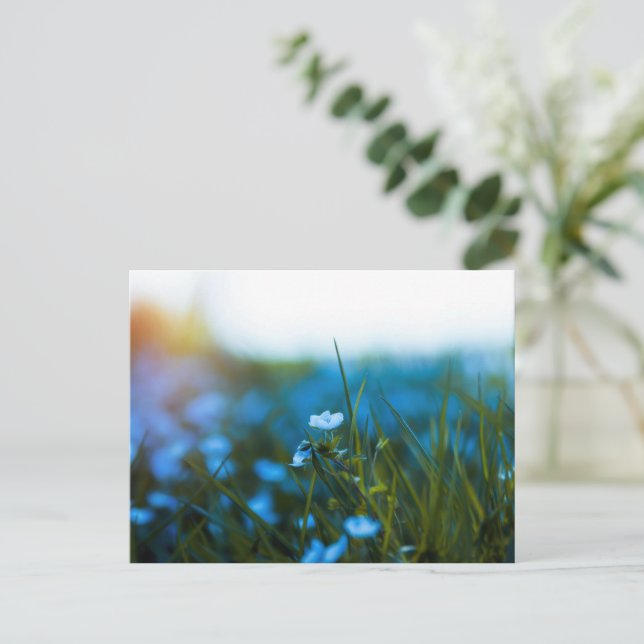 Spring flowers in field postcard (Standing Front)