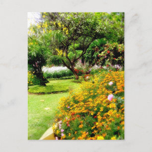 Spring flowers in Funchal, Madeira (Portugal) Postcard