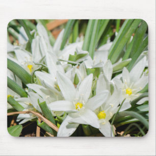 Spring flowers mouse mat