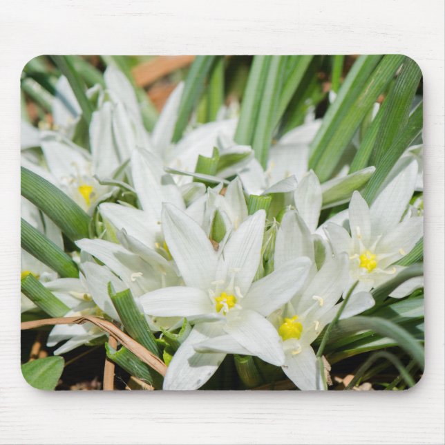 Spring flowers mouse mat (Front)