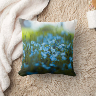 Spring flowers on field cushion
