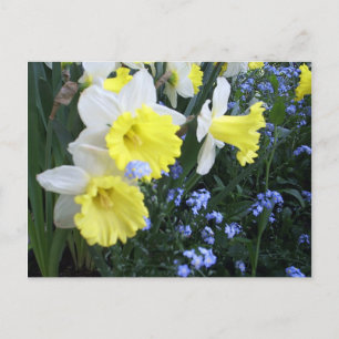 Spring Flowers Postcard