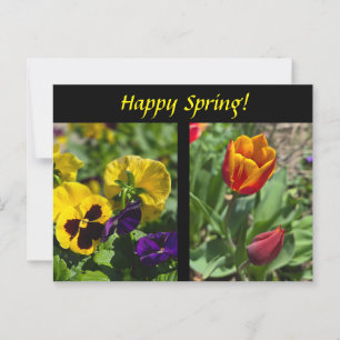 Spring flowers postcard