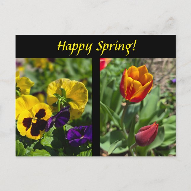 Spring flowers postcard (Front)