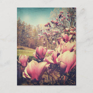 Spring Flowers Postcard