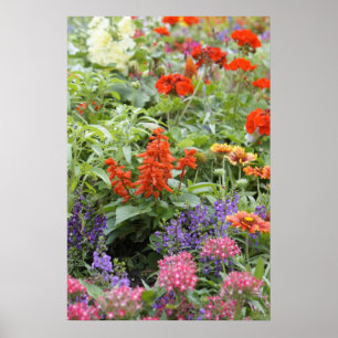 Spring Flowers Poster