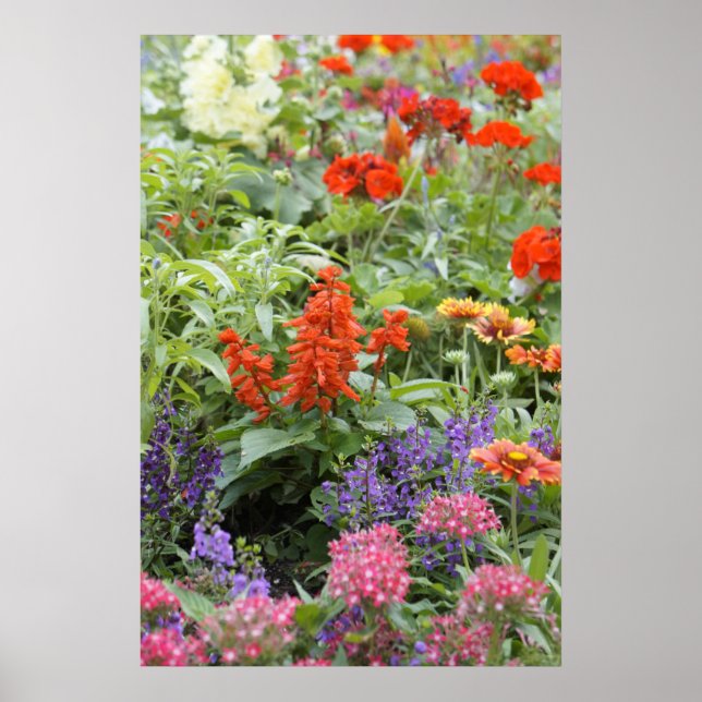 Spring Flowers Poster (Front)