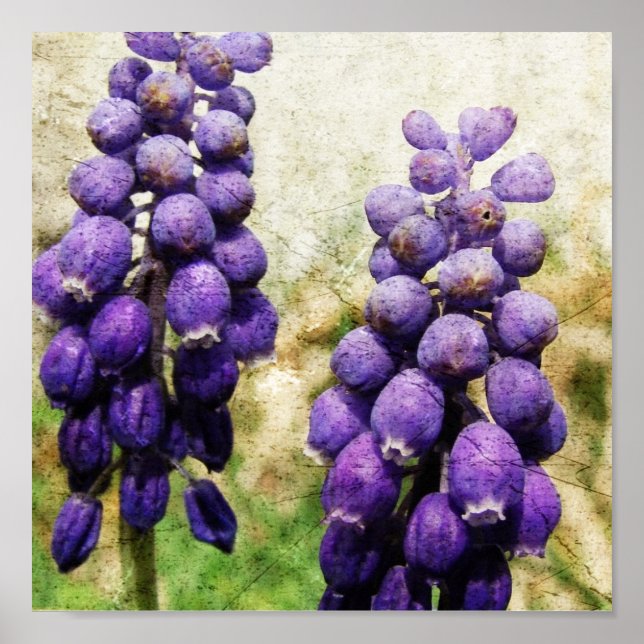 Spring Flowers Poster (Front)