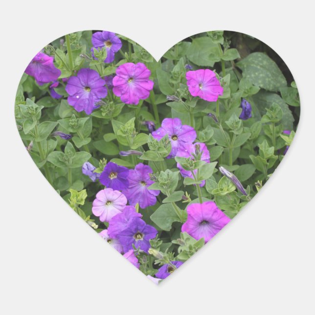 Spring Flowers Purple Garden Petunia Floral Photo Heart Sticker (Front)