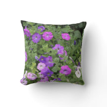 Spring Flowers Purple Petunia Flowers Floral 2021