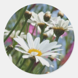 Spring Flowers Stickers