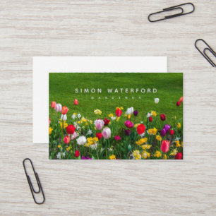 Spring Flowers UK & Euro Business Card