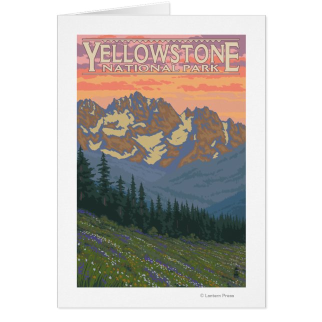 Spring Flowers - Yellowstone National Park (Front)