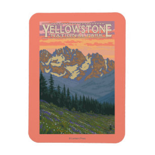 Spring Flowers - Yellowstone National Park Magnet