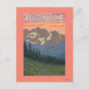 Spring Flowers - Yellowstone National Park Postcard