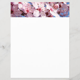 Spring Flyers paper Pink Tree Blossoms Blue Sky
