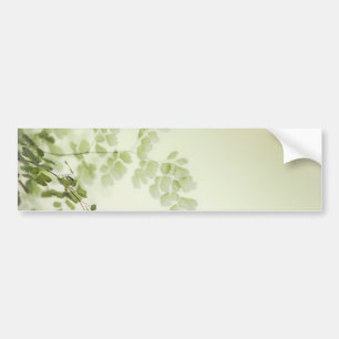 Spring Foliage Bumper Sticker
