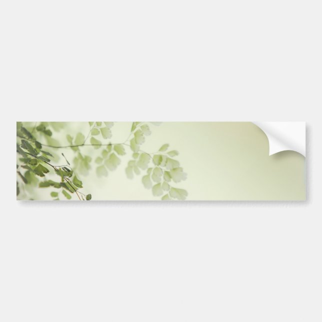 Spring Foliage Bumper Sticker (Front)