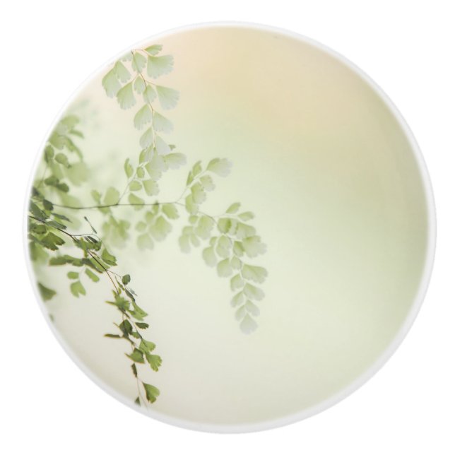 Spring Foliage Ceramic Knob (Front)